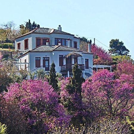 Apartmán Stolios Skopelos Exteriér fotografie