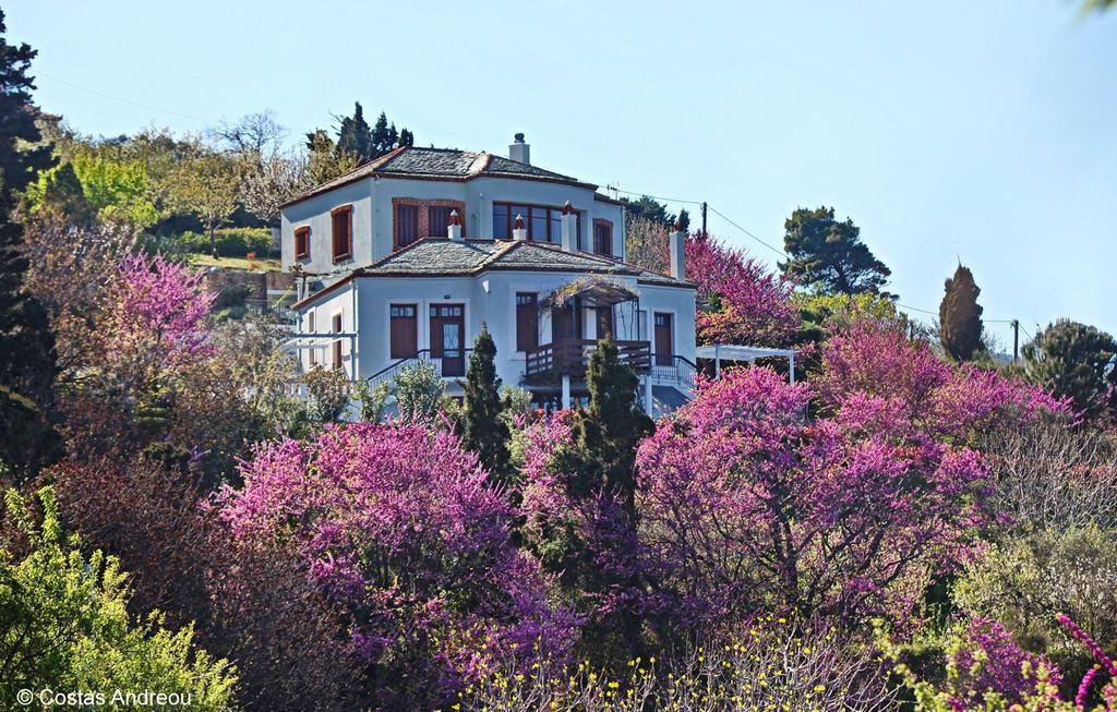 Apartmán Stolios Skopelos Exteriér fotografie